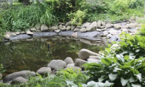 garden pond made of stones and rocks