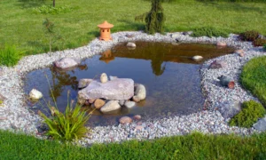 small garden pond